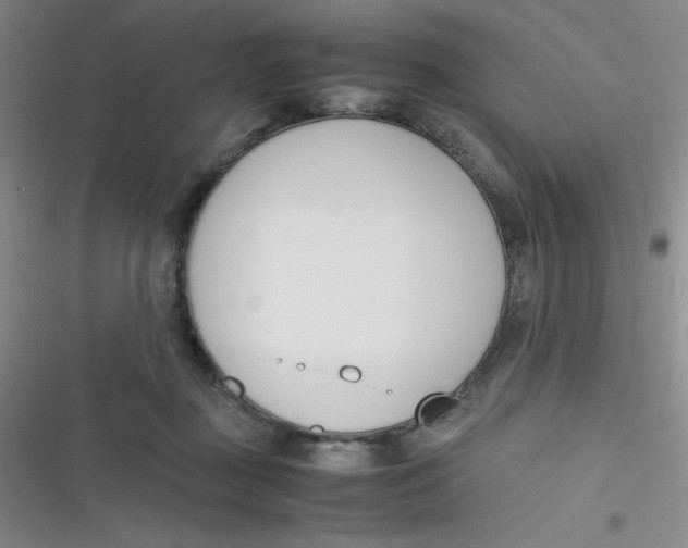 X0000116820363201001081422