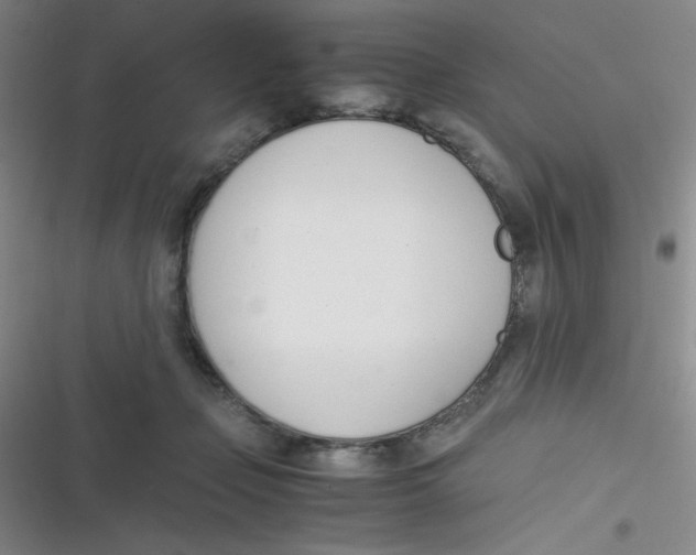 X0000116820365201001081422