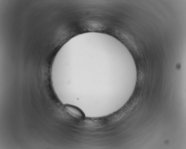 X0000116820367201001081422