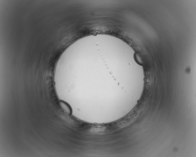 X0000116820369201001081422