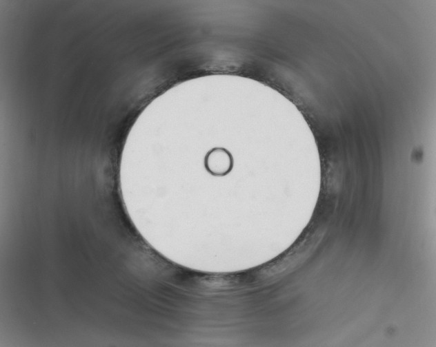 X0000116820370201001081422