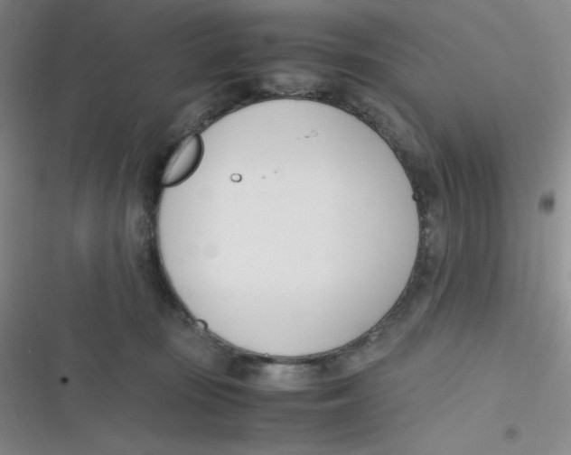 X0000116820371201001081422