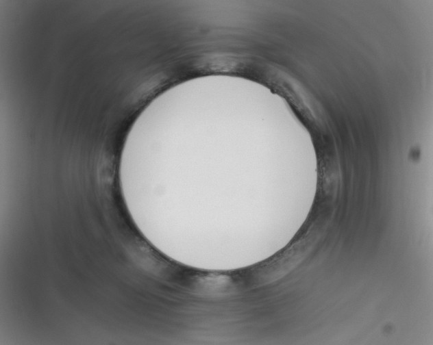 X0000116820374201001081422