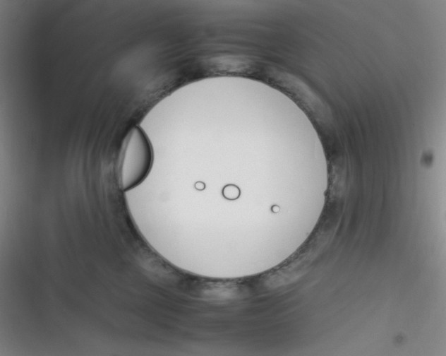 X0000116820377201001081422