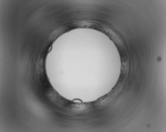 X0000116820381201001081422