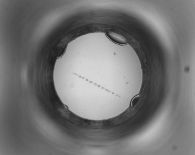 X0000116820382201001081422