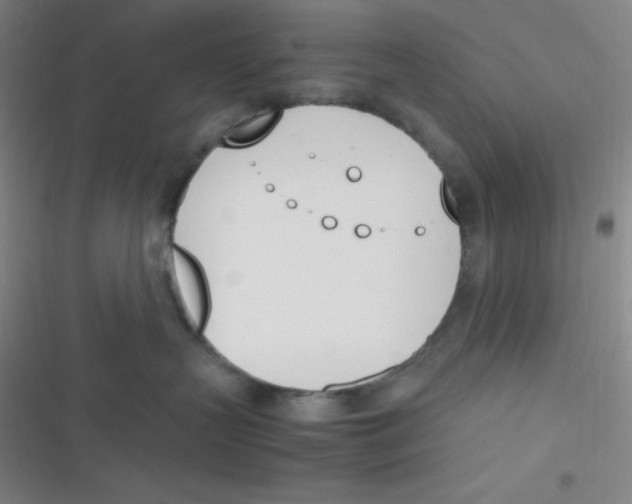 X0000116820383201001081422