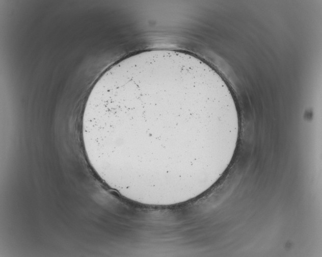 X0000116820385201001081421