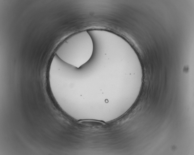 X0000116820386201001081421