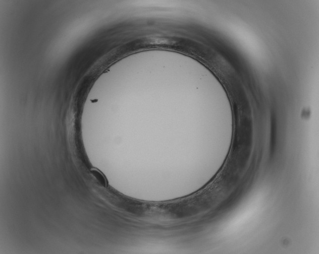 X0000116820387201001081421