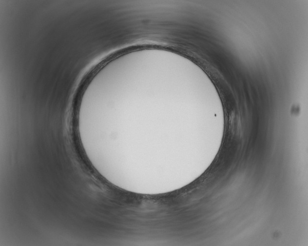 X0000116820388201001081421