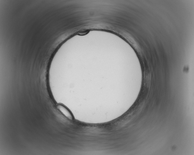 X0000116820389201001081421