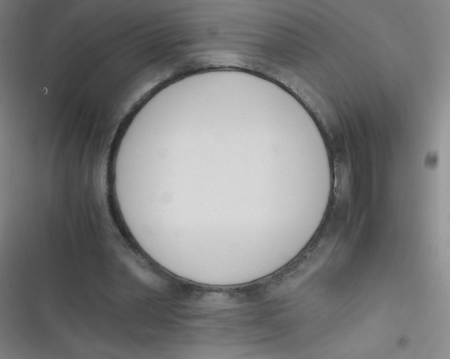 X0000116820390201001081421