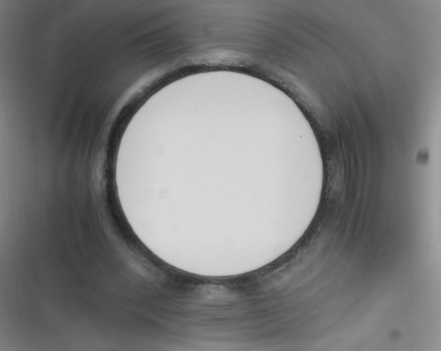 X0000116820392201001081421