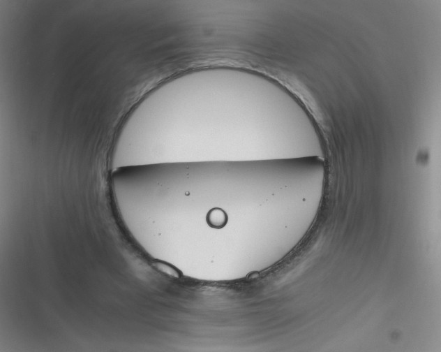 X0000116820393201001081421