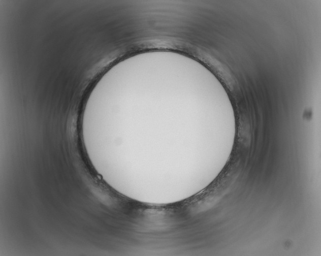 X0000116820394201001081421