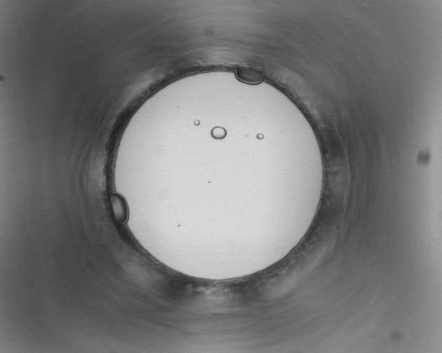 X0000116820395201001081421