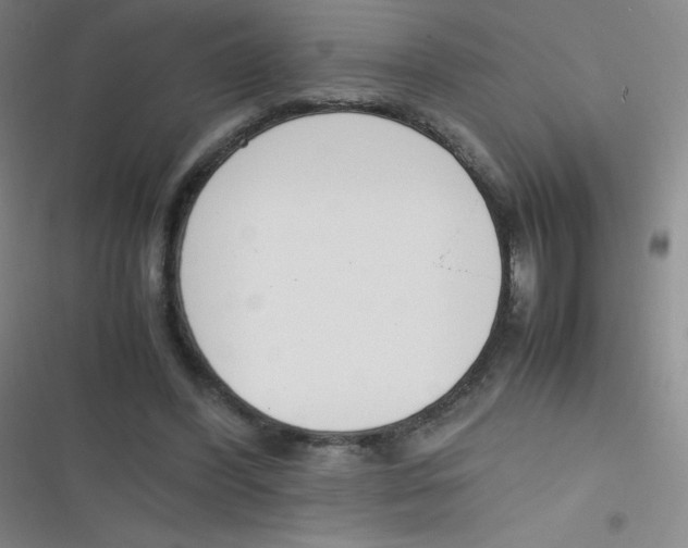 X0000116820396201001081421