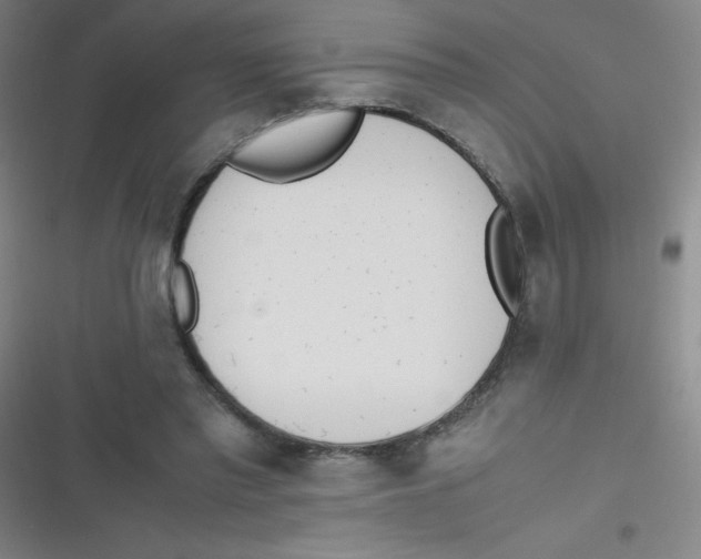 X0000116820397201001081421