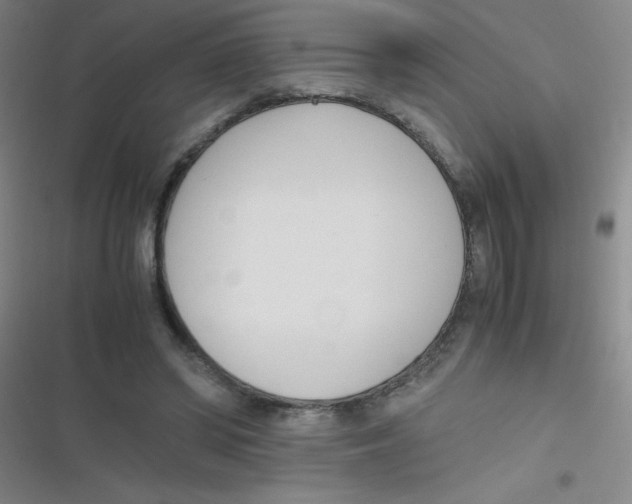 X0000116820398201001081421