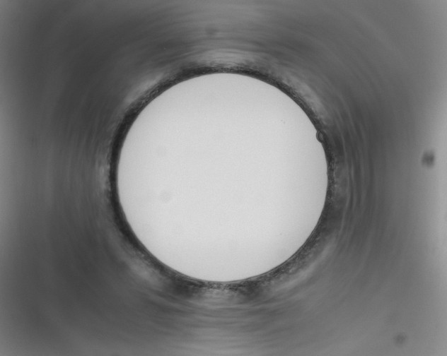 X0000116820399201001081421