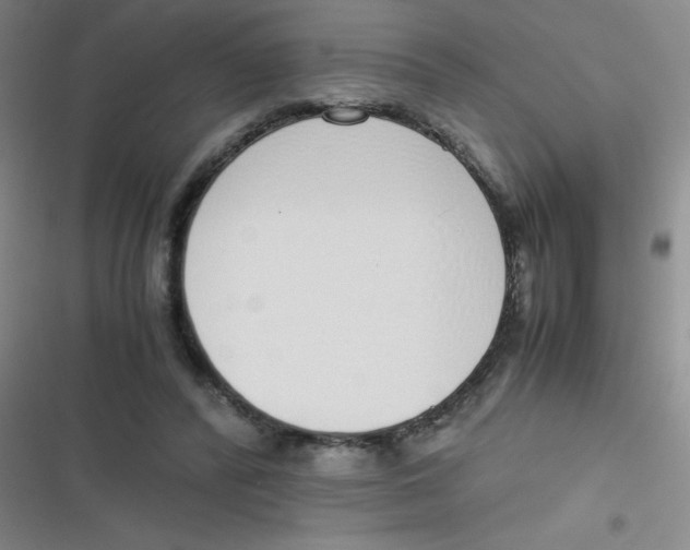 X0000116820400201001081421