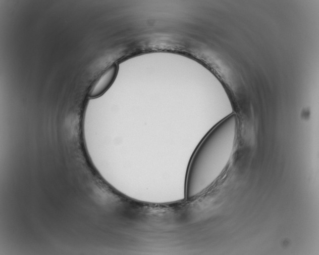 X0000116820401201001081421