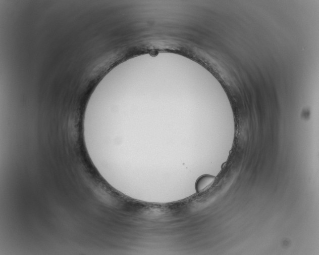 X0000116820402201001081421