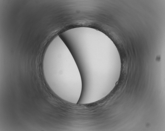 X0000116820403201001081421