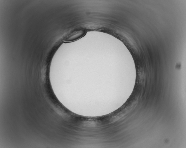 X0000116820404201001081421