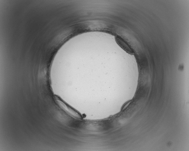 X0000116820405201001081421