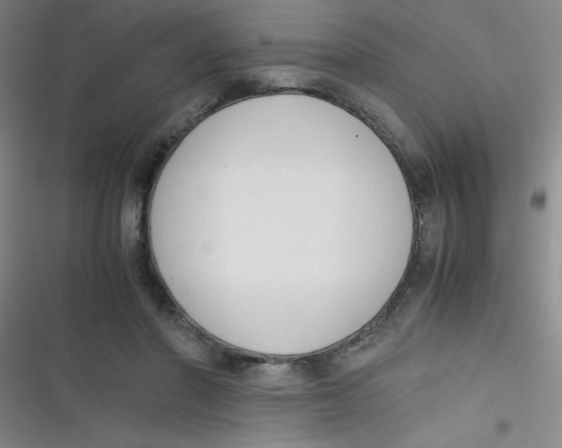 X0000116820406201001081421