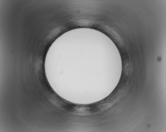 X0000116820407201001081421