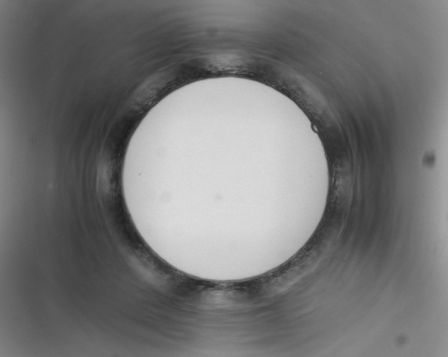 X0000116820408201001081421