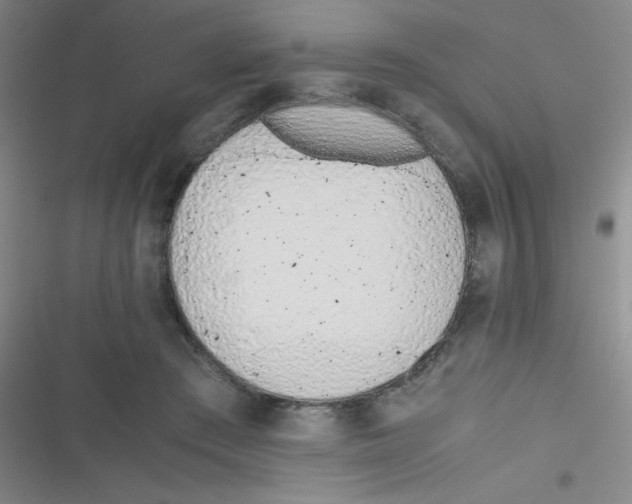 X0000116820409201001081421