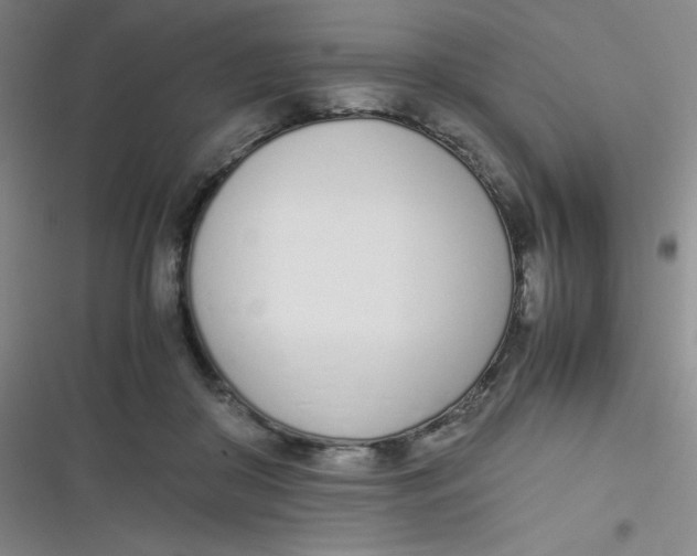 X0000116820410201001081421