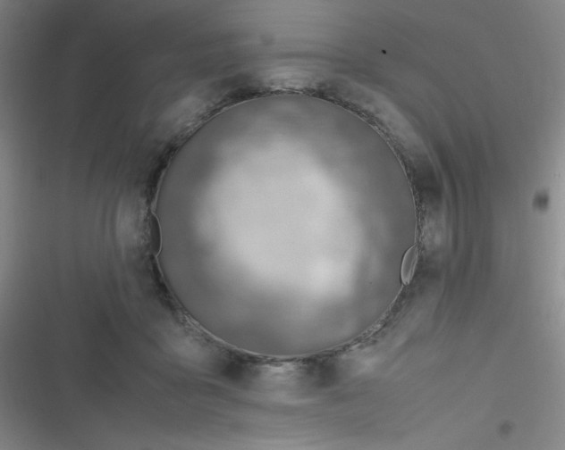 X0000116820411201001081421