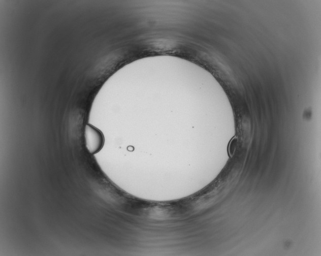 X0000116820412201001081421