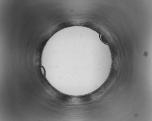 X0000116820413201001081421