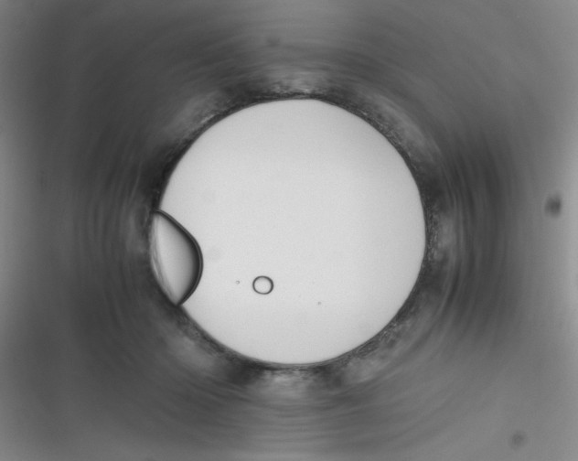 X0000116820414201001081421