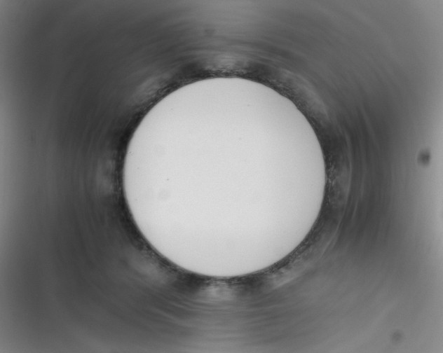 X0000116820416201001081421