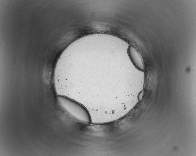 X0000116820417201001081421