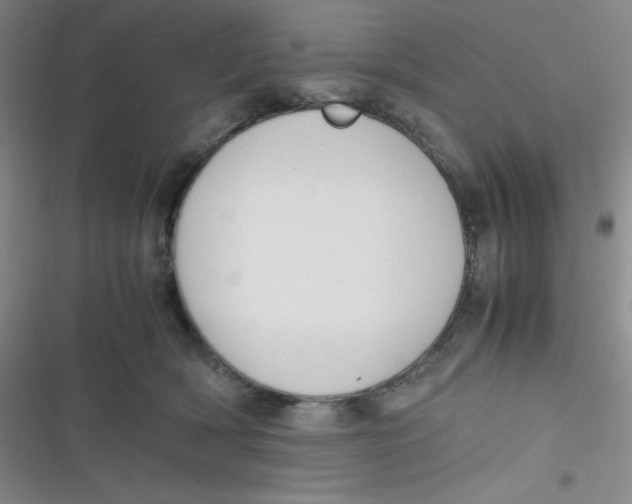 X0000116820418201001081421