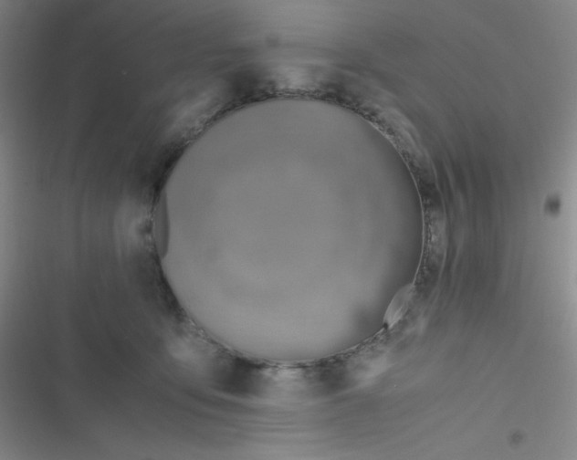 X0000116820419201001081421