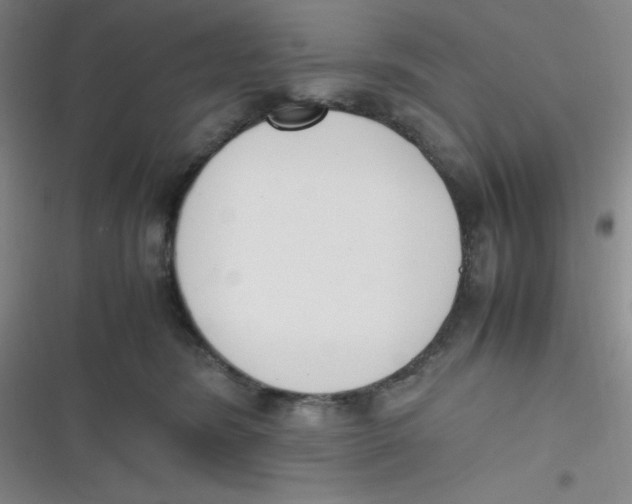 X0000116820420201001081421