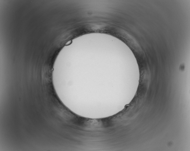 X0000116820421201001081421