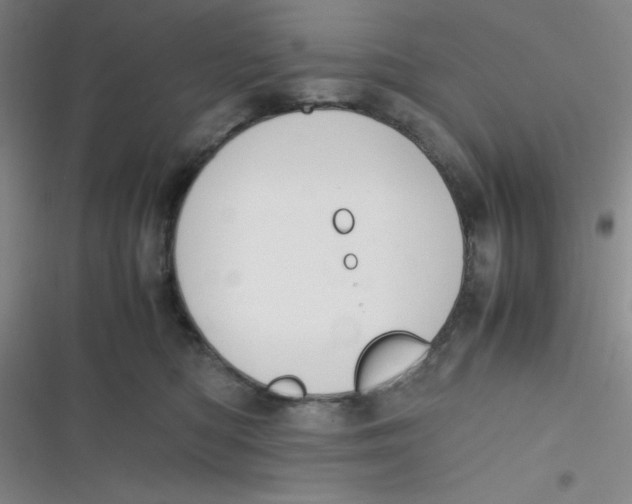 X0000116820422201001081421