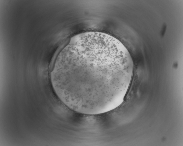 X0000116820423201001081421