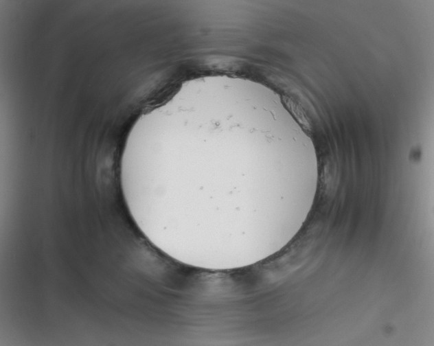 X0000116820424201001081421