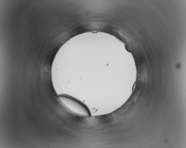 X0000116820425201001081421